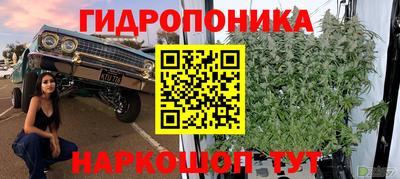 дмт Тара