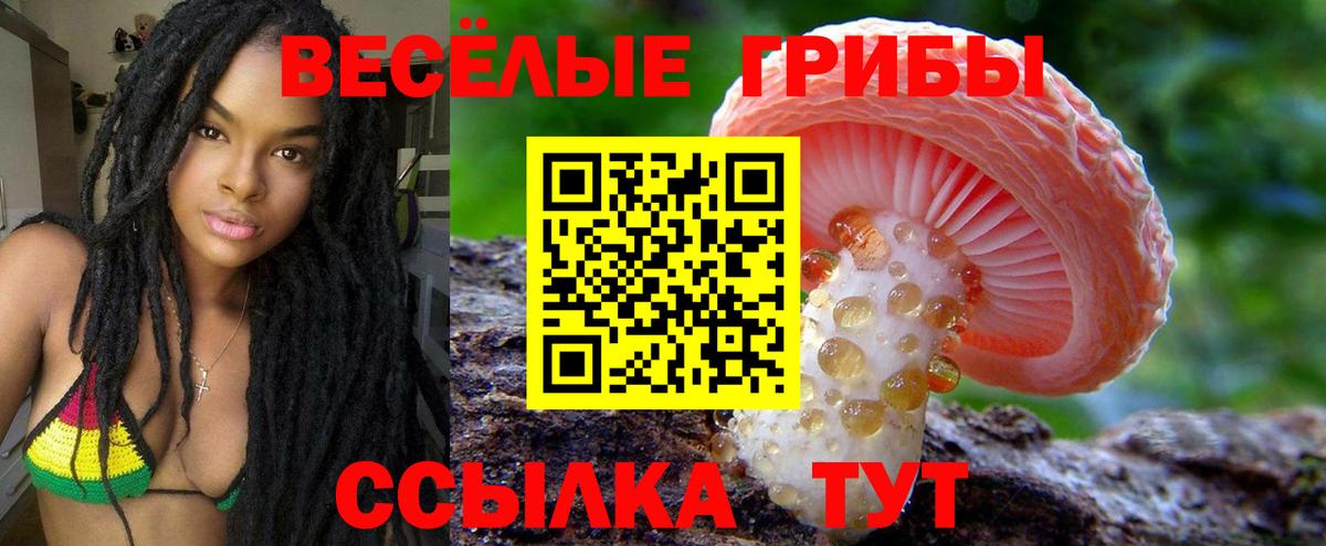 Тюмень  Псилоцибиновые грибы MAGIC MUSHROOMS  как найти наркотики  Галлюциногенные грибы Magic Shrooms  Вход с VPN 